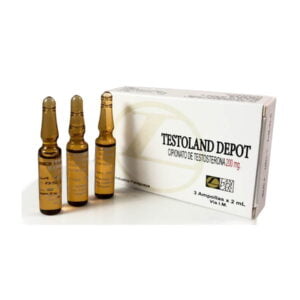 TESTOLAND DEPOSTERON 200MG/6ML